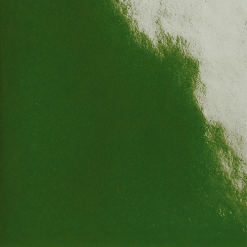 DIN Dark Green Glossy by Konstantin Grcic 15x15cm (0,72m² par boite)